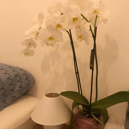 Apartment Summer Industry Dubrovnik