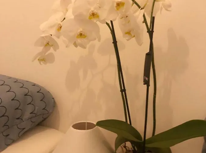 아파트 Summer Industry 두브로브니크