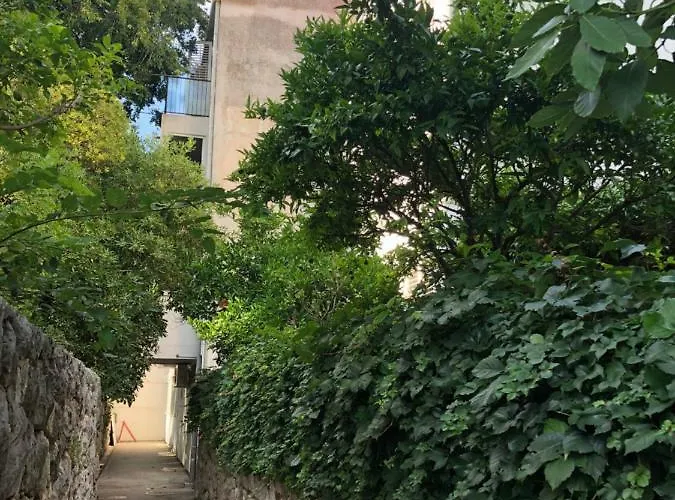 Summer Industry 두브로브니크